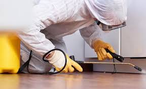 Emergency Pest Control Services in Pinehurst, TX